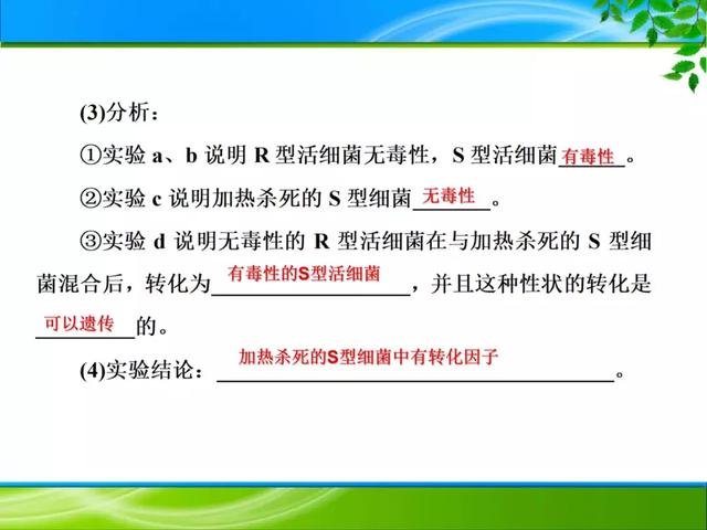 期末复习 | 遗传的分子基础——DNA是主要的遗传物质