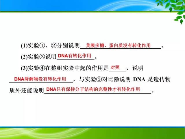 期末复习 | 遗传的分子基础——DNA是主要的遗传物质