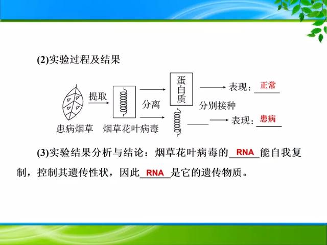 期末复习 | 遗传的分子基础——DNA是主要的遗传物质