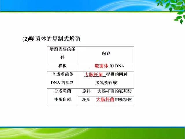 期末复习 | 遗传的分子基础——DNA是主要的遗传物质