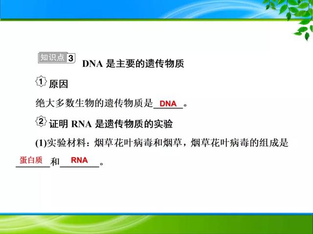 期末复习 | 遗传的分子基础——DNA是主要的遗传物质