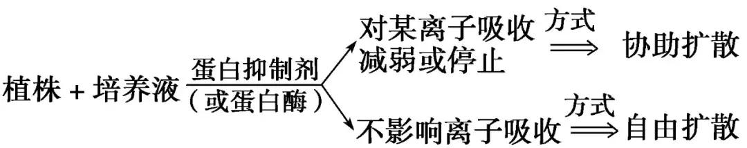 「高中生物」生物膜的流动镶嵌模型及物质跨膜运输的方式汇总，