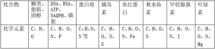 分子与细胞结构：知识点归纳拓展