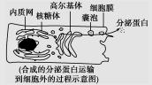 分子与细胞结构：知识点归纳拓展