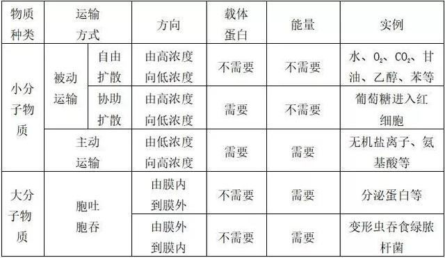 分子与细胞结构：知识点归纳拓展