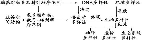 分子与细胞结构：知识点归纳拓展