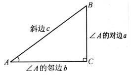中考数学中《锐角三角函数》常考的5个考点大合集