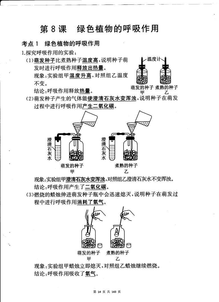 初中生物重点随堂笔记总结-生物会考考点梳理