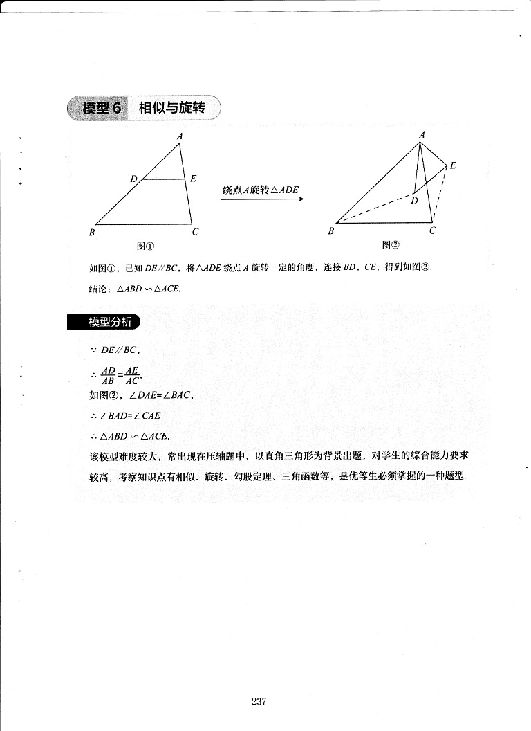 初中数学易错题常考题解题模型-相似模型