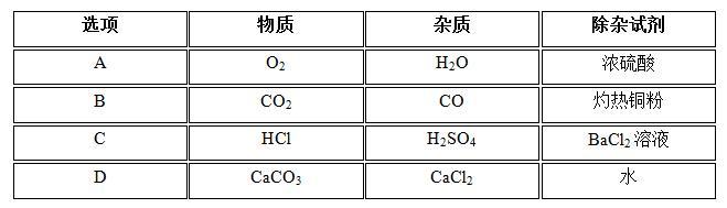 2020中考化学专题复习训练系列:物质的分离与除杂,疑难解析