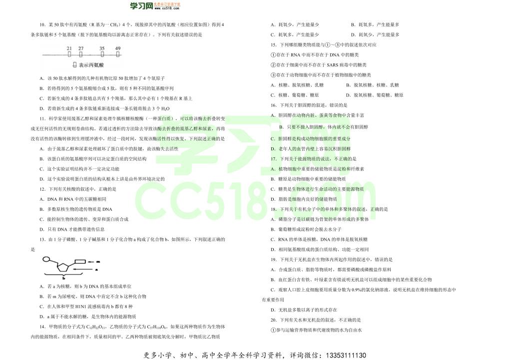 人教版2020-2021高一生物上学期期中备考卷（A卷）（word版附答案）