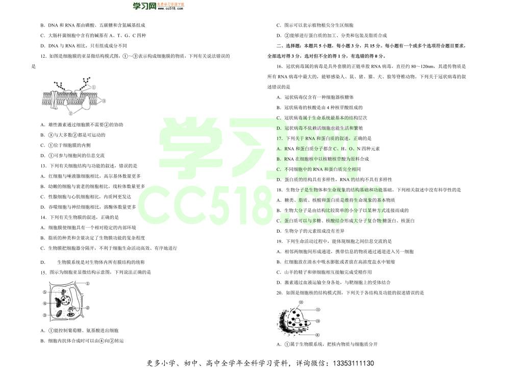 新高考地区2020-2021高一生物上学期期中备考卷（B卷）（word版附答案）