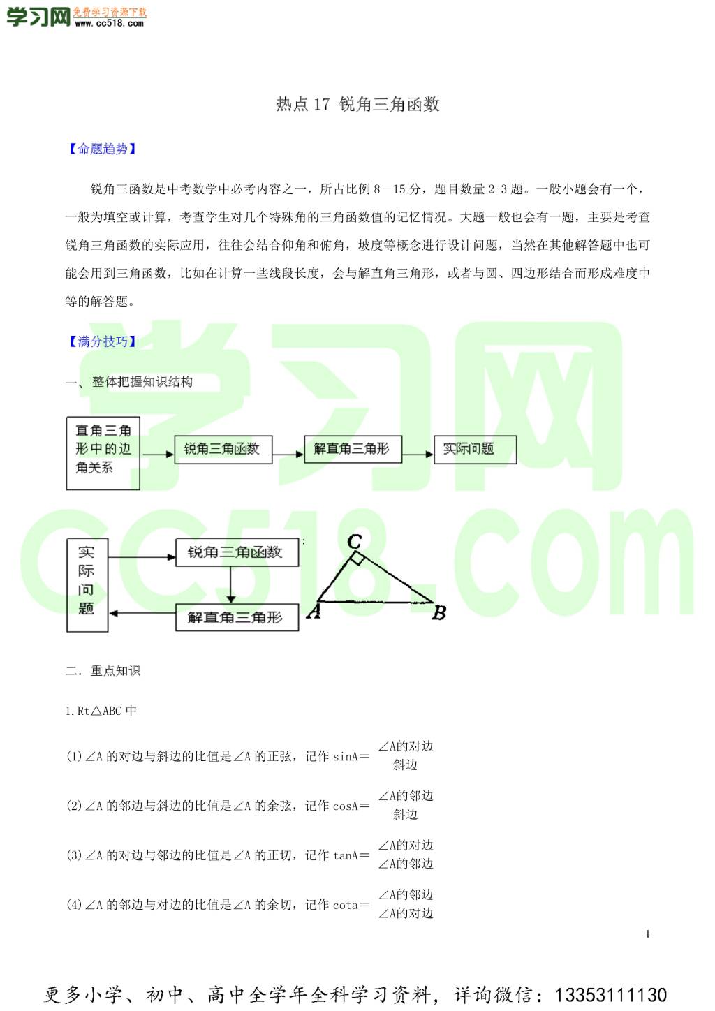 2020中考数学热点专练17锐角三角形（含解析）