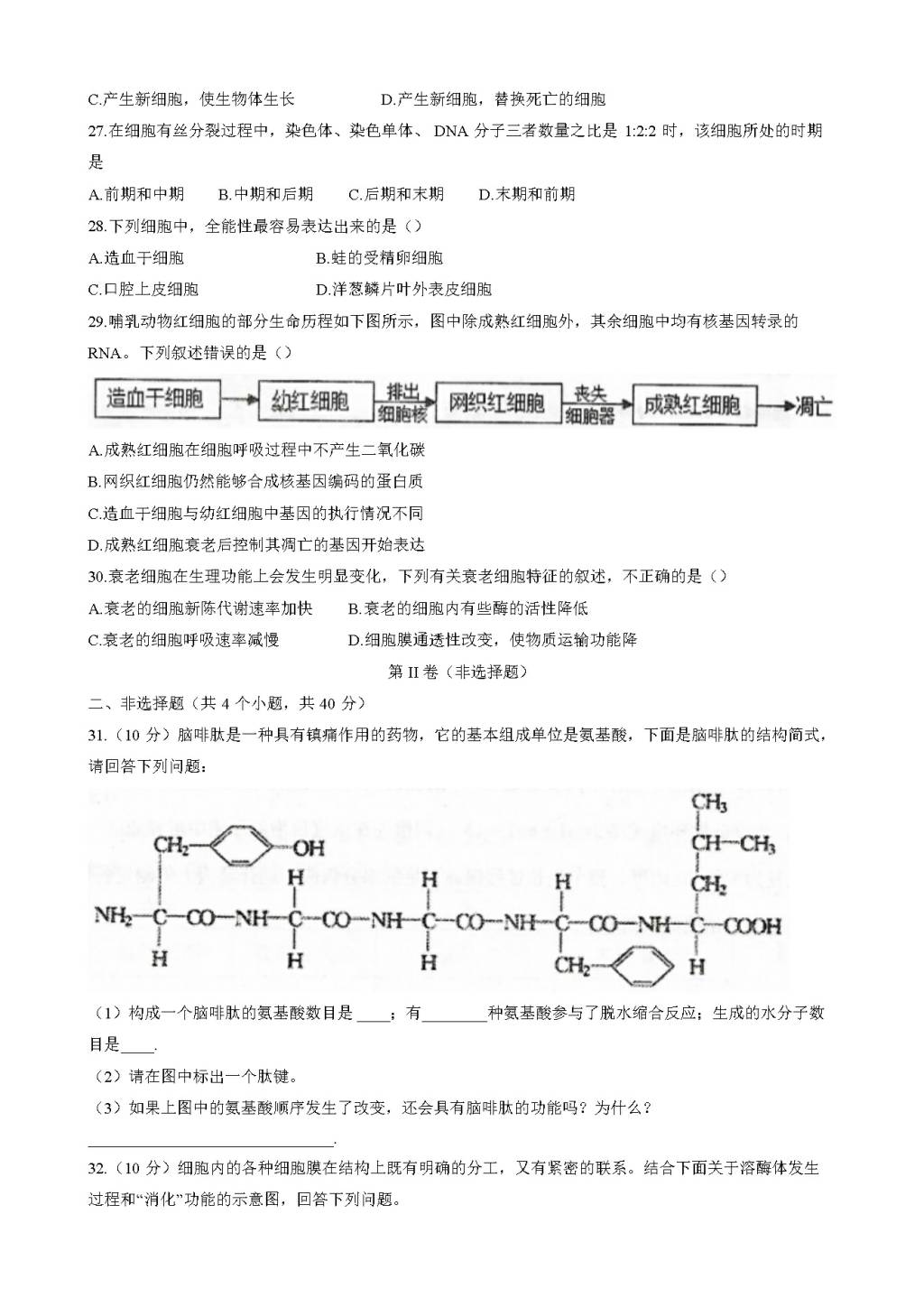 天津市东丽区2020-2021高一生物上学期期末考试试题（word版附答案）（文件编号：21020208）