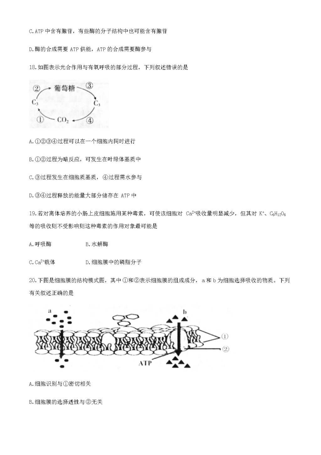 天津市部分区2020-2021高一生物上学期期末考试试题（word版附答案）（文件编号：21020207）