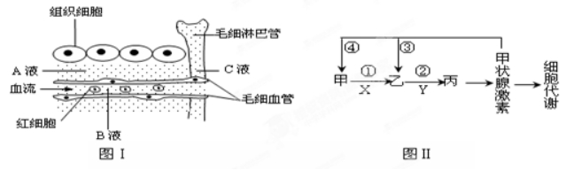 四川省绵阳市丰谷中学高三上学期开学考试生物试题（含答案）（文件编号：21021713）