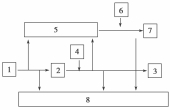 四川省绵阳市丰谷中学高三上学期开学考试生物试题（含答案）（文件编号：21021713）