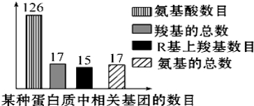 河北省唐山一中高一开学调研生物试题（含答案）（文件编号：21021716）