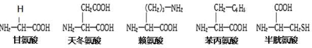 河北省唐山一中高一开学调研生物试题（含答案）（文件编号：21021716）