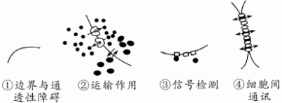 河北省唐山一中高一开学调研生物试题（含答案）（文件编号：21021716）