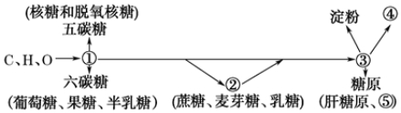 河北省唐山一中高一开学调研生物试题（含答案）（文件编号：21021716）