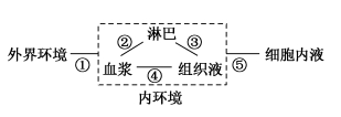 陕西省西安市铁一中高三下学期开学考试理综试卷（含答案）（文件编号：21021813）