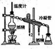 八年级物理上册寒假培优作业6（文件编号：21022324）