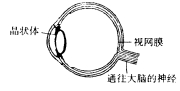 八年级物理上册寒假培优作业13（文件编号：21022331）