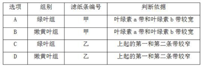 2021年高考生物复习专题（文件编号：21022804）