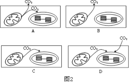 2021年高考生物复习专题（文件编号：21022804）