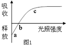 2021年高考生物复习专题（文件编号：21022804）