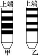 2021年高考生物复习专题（文件编号：21022804）