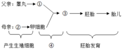 2020年湖北省宜昌市中考生物真题及答案（文件编号：21030113）