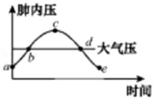 2020年湖北省宜昌市中考生物真题及答案（文件编号：21030113）