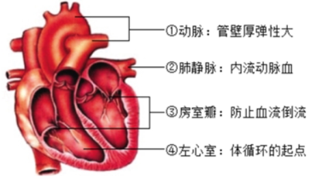 2020年湖北省宜昌市中考生物真题及答案（文件编号：21030113）