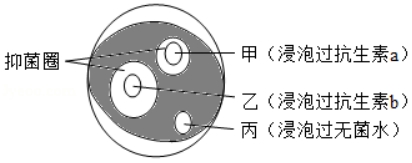 2020年湖北省宜昌市中考生物真题及答案（文件编号：21030113）