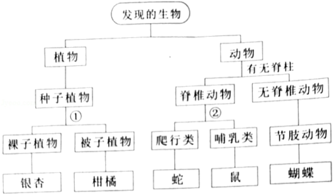 2020年湖南省永州市中考生物真题及答案(文件编号：21030118）