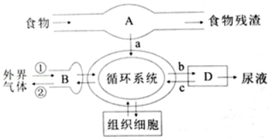 2020年湖南省永州市中考生物真题及答案(文件编号：21030118）