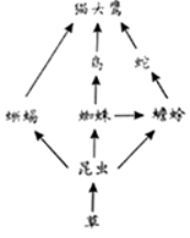 2020年贵州省铜仁市中考生物真题及答案（文件编号：21030125）