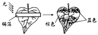 2020年贵州省铜仁市中考生物真题及答案（文件编号：21030125）