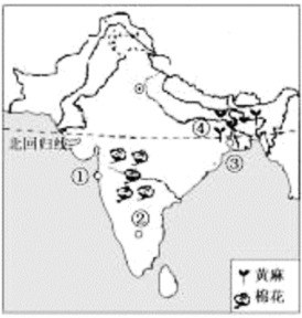 2020山东省德州市中考地理真题及答案（文件编号：21030119）