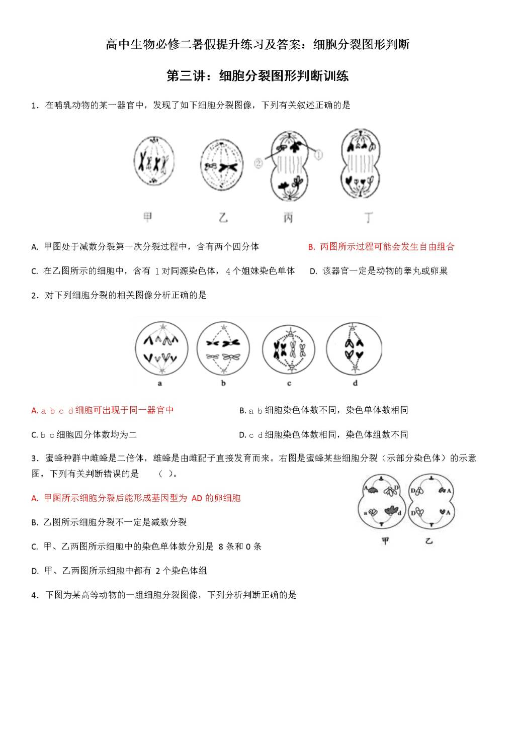 高中生物必修二暑假提升练习及答案：细胞分裂图形判断（文件编号：21030422）