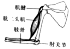 2020年四川成都中考生物真题及答案（文件编号：21030708）