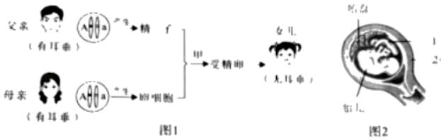 2020年四川成都中考生物真题及答案（文件编号：21030708）