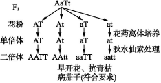 苏教版高中生物必修2第三章过关检测训练及答案解析（文件编号：21031109）