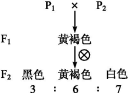 苏教版高中生物必修2第三章过关检测训练及答案解析（文件编号：21031109）