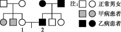 苏教版高中生物必修2第三章过关检测训练及答案解析（文件编号：21031109）