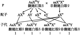 苏教版高中生物必修2第三章过关检测训练及答案解析（文件编号：21031109）