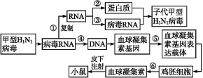 苏教版高中生物必修2第四章过关检测训练及答案解析（文件编号：21031110）