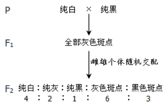 2021年高考生物全真模拟测试卷（文件编号：21031401）